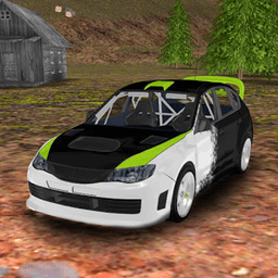拉力赛车模拟器3D最新版 v1.3